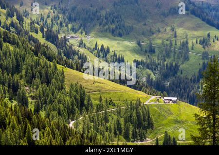 L'Ellmaualm, a un'altitudine di 1.794 metri, si trova nel fondo della valle boschiva lungo il sentiero Almenweg nella valle di Großarl, Salisburgo, Austria. Un sentiero si snoda a tornanti attraverso i prati di montagna fino alla capanna. Foto Stock