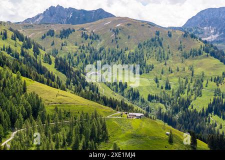 Fai un'escursione sull'Almenweg attraverso Salzburgerland, Großarl, Salisburgo, Austria Foto Stock