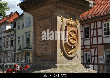 Marian Column Duderstadt, Germania Foto Stock