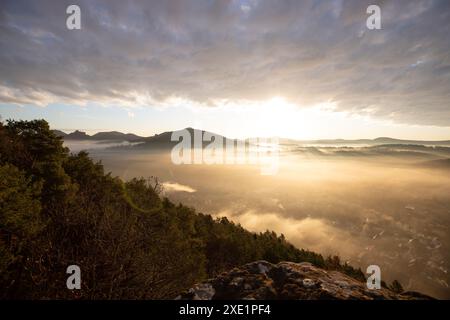 LLandscape fotografato all'alba, scogliere di arenaria nel mezzo della foresta. Foresta del Palatinato, Germania Foto Stock