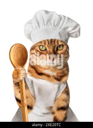 Gatto soddisfatto - un cuoco con un cucchiaio di legno nella zampa. Foto Stock
