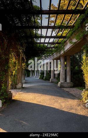 Pergola con piante verdi alla Centennial Hall di Breslavia. Polonia d'estate. Arcata del giardino in piena fioritura Biophilia desig Foto Stock