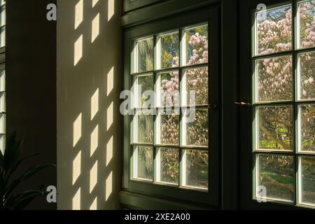 Primo piano del palmo accanto alla vecchia finestra. Design degli interni minimale astratto mockup modello decorativo per lo sfondo. Concetto di ecologia Foto Stock