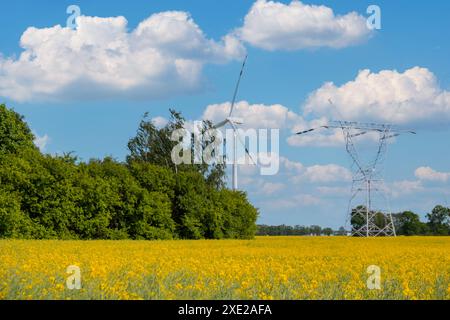 Turbina eolica su prato giallo contro il cielo blu nuvoloso nella zona rurale durante il tramonto. Parco dei mulini a vento con chiou tempestoso Foto Stock