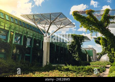 Giardino botanico sul tetto della biblioteca dell'Università di Varsavia, architettura moderna e verde. Architettura di edifici sostenibili Foto Stock