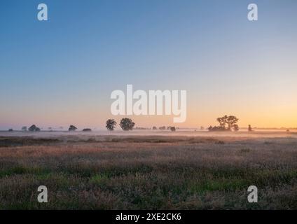 L'alba colorata su terreni erbosi nel parco nazionale weerribben wieden vicino a Giethoorn, nella provincia olandese di overijssel Foto Stock