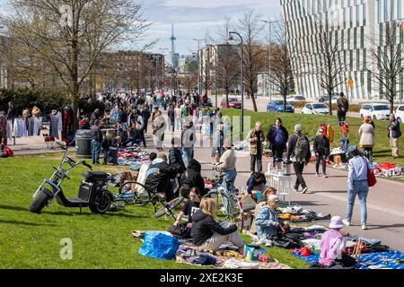 Le persone al mercato delle pulci pop-up di Dallapé Park o scambiarsi un appuntamento in tarda giornata di primavera nel quartiere Vallila di Helsinki, Finlandia Foto Stock