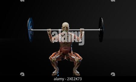 Esercizio di squat parallelo Barbell. Palestra bodybuilding esercizio, High Bar Olympic Squat, allenamento maschile per perdere peso, perdere pancia grassa, processo di bruciare i grassi Foto Stock