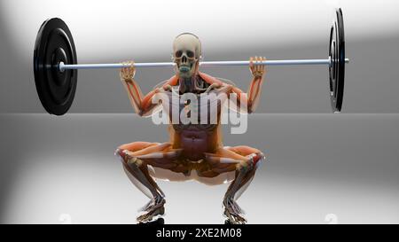 Esercizio di squat parallelo Barbell. Palestra bodybuilding esercizio, High Bar Olympic Squat, allenamento maschile per perdere peso, perdere pancia grassa, processo di bruciare i grassi Foto Stock