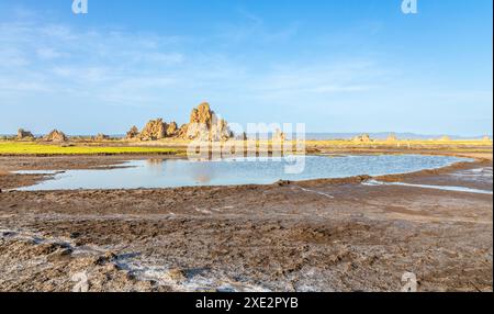 Camini preistorici calcarei formazioni rocciose geologiche, lago salato Abbe, regione di Dikhil, Gibuti Foto Stock