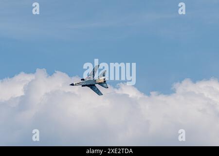 PA-200 Tornado aereo da combattimento multiuso Foto Stock