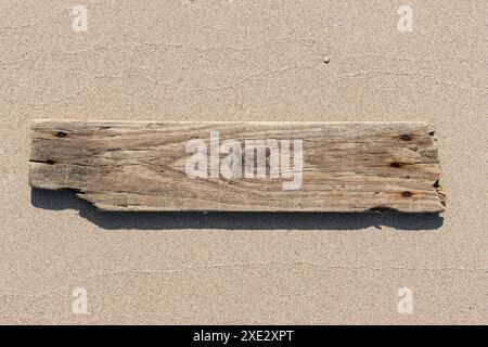 Tavola di legno a deriva marina isolata su fondo di sabbia. Modello modello Foto Stock