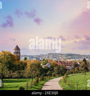 Germania, Stuttgart con vista panoramica. Belle case in autunno, cielo e paesaggio naturale. Vigneti di Stoccarda - vino colorato g Foto Stock