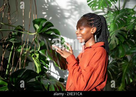 Donna nera interessata giardiniere toccando la pianta d'casa monstera esamina le foglie godere di risultati di crescita. Foto Stock