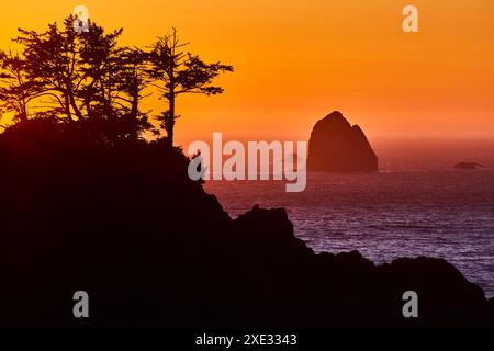 Tramonto sulle scogliere robuste e Sea Stack nel Samuel H. Boardman Corridor Foto Stock