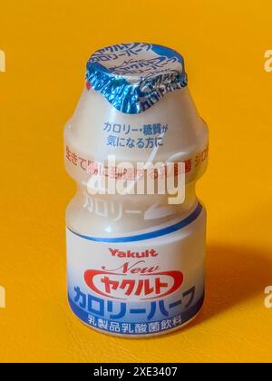 Nagahama, Prefettura di Shiga, Giappone. 5 novembre 2023. Un primo piano di uno Yakult. Una bevanda giapponese a base di latte probiotico zuccherato fermentato W Foto Stock