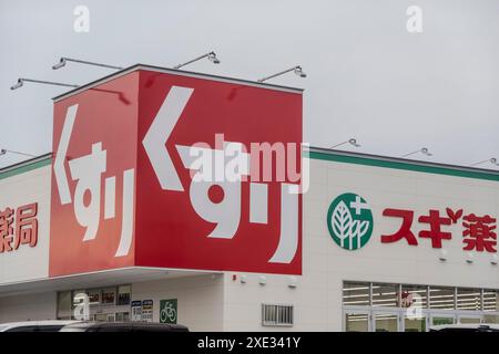 Yamanakako, prefettura di Yamanashi, Giappone. 5 novembre 2023. Un primo piano di un'azienda FARMACEUTICA SUGI in Giappone. Foto Stock