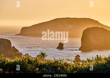 Tramonto su Arch Rock e scogliere, Samuel H. Boardman State Scenic Corridor Foto Stock