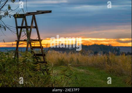 Un posto alto ai margini della foresta Foto Stock