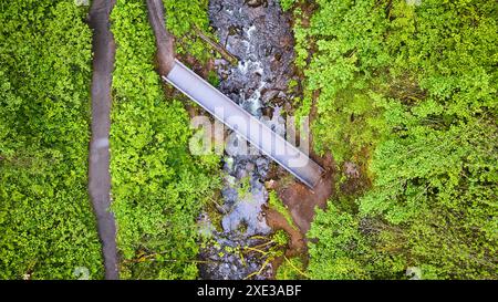Vista aerea della foresta con Winding Road e Ponte sul fiume Foto Stock