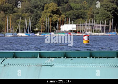 Touristenmagnet im Ruhrgebiet Das Essener Naherholungsgebiet und Touristen-Hotspot Baldeneysee aus dem Jahr 1933 an der Werdener Staumauer Essen Nordrhein-Westfalen Deutschland Werden *** magnete turistico nella regione della Ruhr 1933 Foto Stock