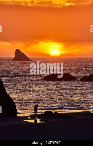 Profilo al tramonto di Harris Beach con formazione rocciosa e vista rialzata a figura solitaria Foto Stock