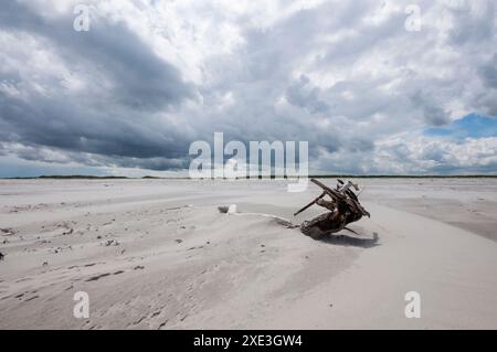 Clima freddo e soleggiato con tempesta e nuvole pesanti sulla spiaggia dell'isola di Schiermonnikoog, nel giugno 2024, Paesi Bassi. Foto Stock