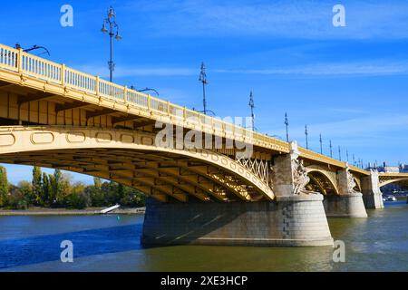 Ponte Margherita a Budapest, Ungheria Foto Stock