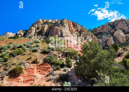 Red Hollow slot Canyon Trail - torreggianti formazioni rocciose mostrano un incredibile contrasto geologico con strati di vibrante pietra rossa e pallida. Foto Stock