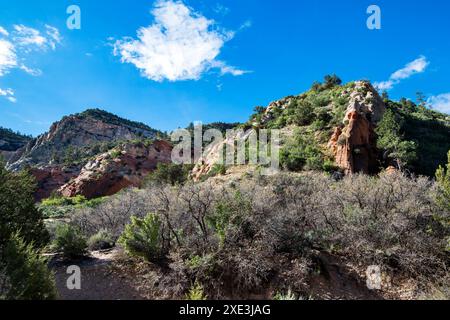 Red Hollow slot Canyon Trail - torreggianti formazioni rocciose mostrano un incredibile contrasto geologico con strati di vibrante pietra rossa e pallida. Foto Stock