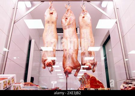 Industria della carne, carni, agnello appeso nel magazzino frigorifero, appende su ganci dietro un vetro, vetro c Foto Stock