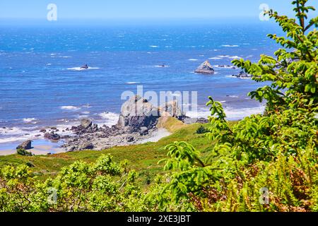 Costa frastagliata dell'Oregon con Dynamic Waves e vista lussureggiante di mezzogiorno Foto Stock