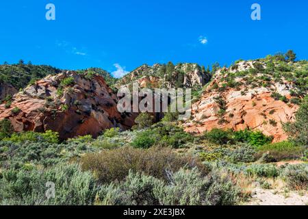 Red Hollow slot Canyon Trail - torreggianti formazioni rocciose mostrano un incredibile contrasto geologico con strati di vibrante pietra rossa e pallida. Foto Stock