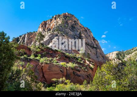 Red Hollow slot Canyon Trail - torreggianti formazioni rocciose mostrano un incredibile contrasto geologico con strati di vibrante pietra rossa e pallida. Foto Stock