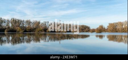 Inondazione sul Reno nell'Assia meridionale Foto Stock