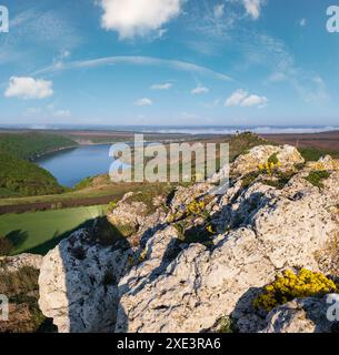 Ucraina senza aggressione russa. Splendida vista sulle sorgenti del Dnister River Canyon con rocce pittoresche, campi e fiori. THI Foto Stock