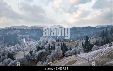 Inverno in arrivo. Pittoresca nebbia e scena moody mattina in fine autunno montagna campagna con hoarfrost su erbe, alberi, s Foto Stock