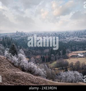 Inverno in arrivo. Nuvoloso e nebbia mattina molto tardo autunno montagne scena. Tranquillo viaggio pittoresco, stagionale, natura e c Foto Stock