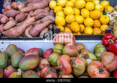 Mango, pomodori e altri tipi di frutta e verdura in vendita in un mercato Foto Stock