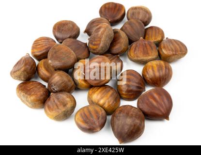 Castagne commestibili isolate su sfondo bianco. Castanea sativa, il dolce o la castagna spagnola da vicino. Foto Stock