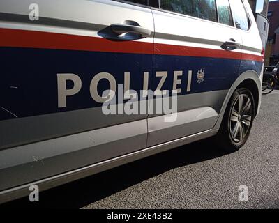 Simboli e segni delle forze di polizia austriache Foto Stock