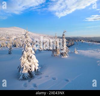 Impianti di risalita Alpine Resortr con posti a sedere che sovrastano l'alba sci di montagna piste freeride e abeti Foto Stock