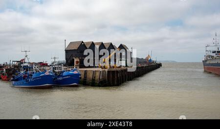 Barche da pesca ormeggiate al porto di Whitstable nel Kent, Inghilterra Foto Stock