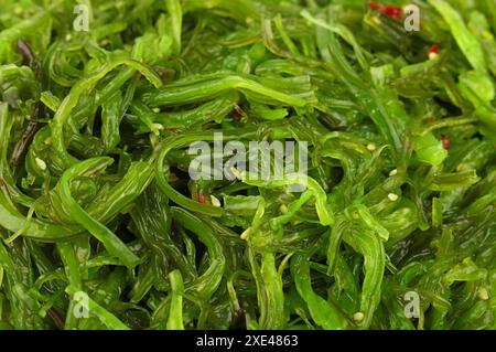 Close-up di sfondo verde alghe wakame salad Foto Stock