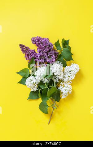 Fiori lilla su sfondo giallo. Bordo decorativo, spazio di copia. Foto Stock