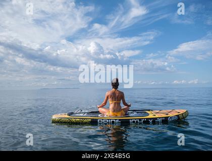 Donna che pratica yoga su una tavola da surf sotto un cielo drammatico Foto Stock