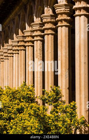 Monasterio de Miramar Foto Stock