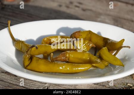 Capsicum frutescens, Pepperoni, peperoncino Foto Stock