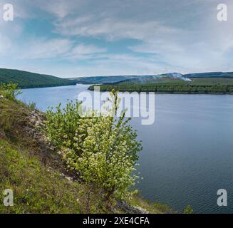 Splendida vista primaverile sul canyon del fiume Dnister, regione di Chernivtsi, Ucraina. Foto Stock