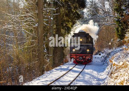 Selketalbahn Selketal sotto vapore Harzer Schmalspurbahn Foto Stock